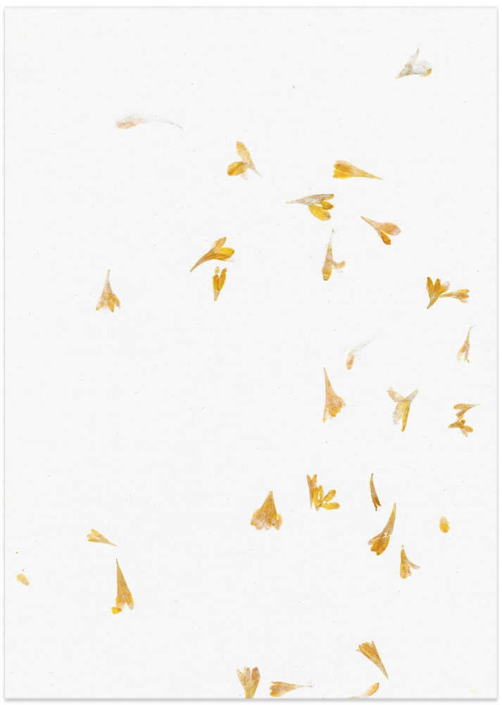 Golden Petals Afloat