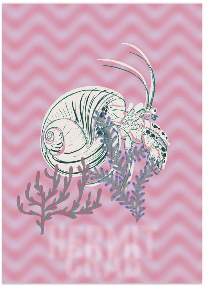 Sea life hermit crab Neptune's joy