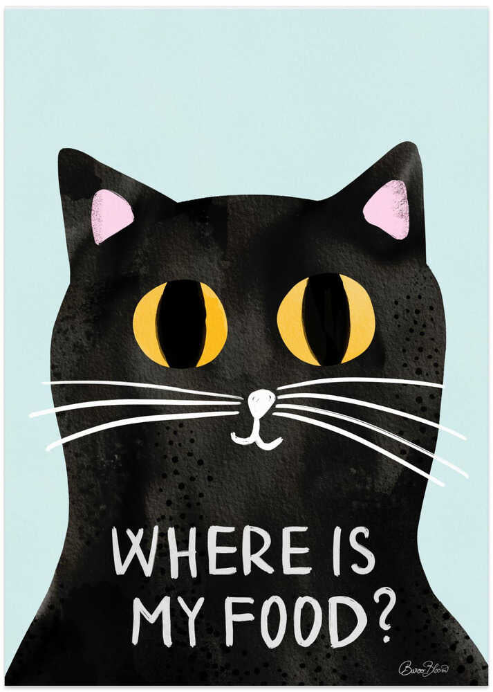 Hungry Cat - Where is my food