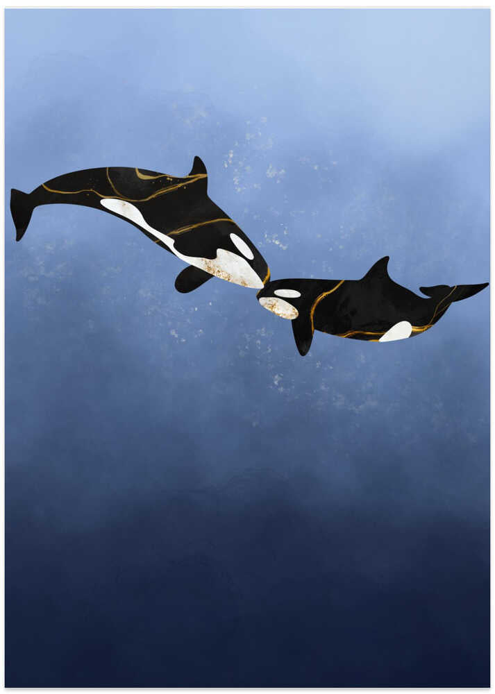 Orcas