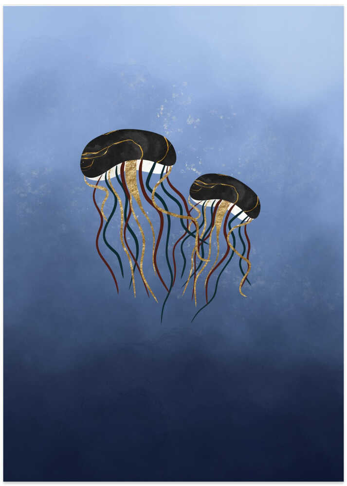 Jellyfish