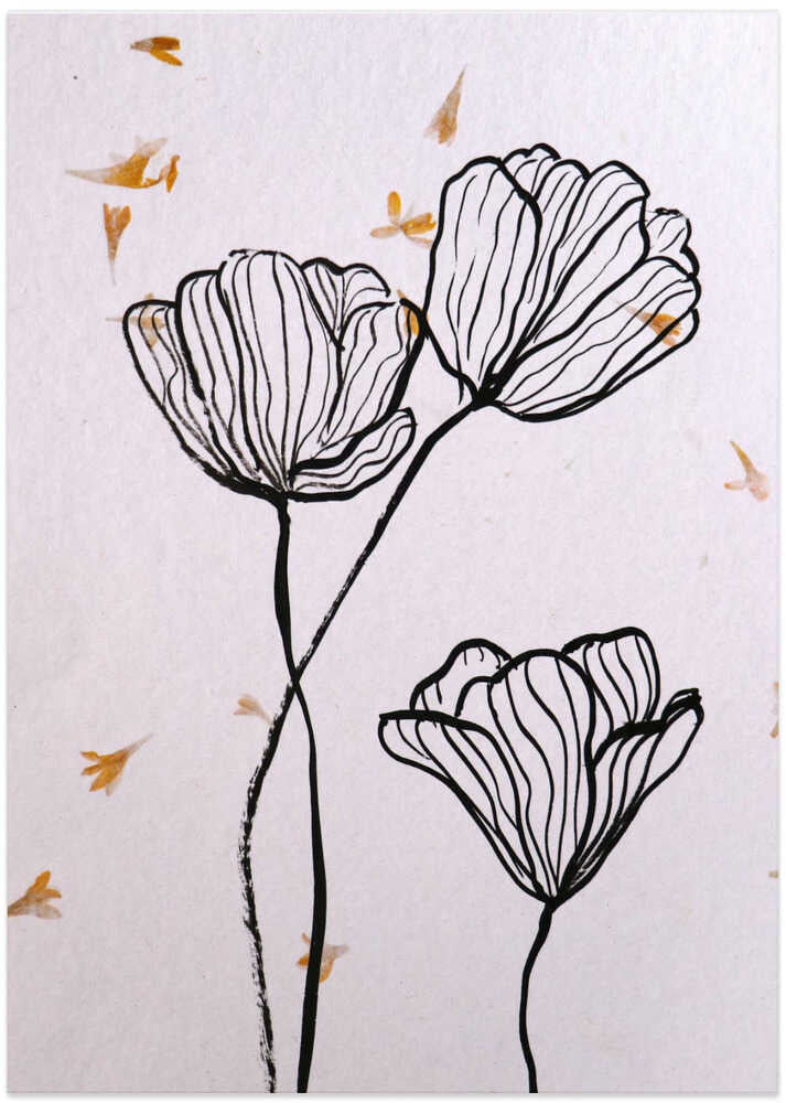 Delicate Petal Lines