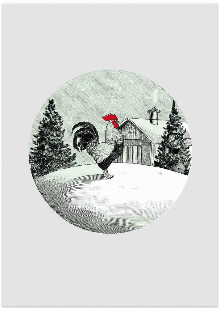 Winter Scenes: Holiday Rooster With Barn On Snow and Christmas Trees 3