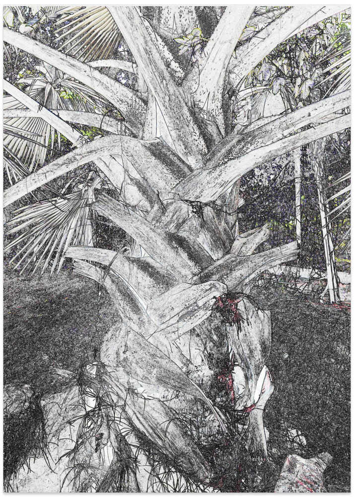 Twisted Palm Sketch