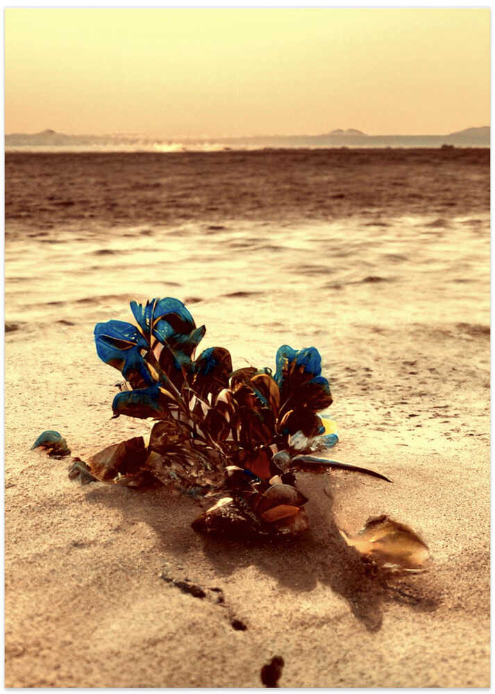 Ocean's Blue Resilience