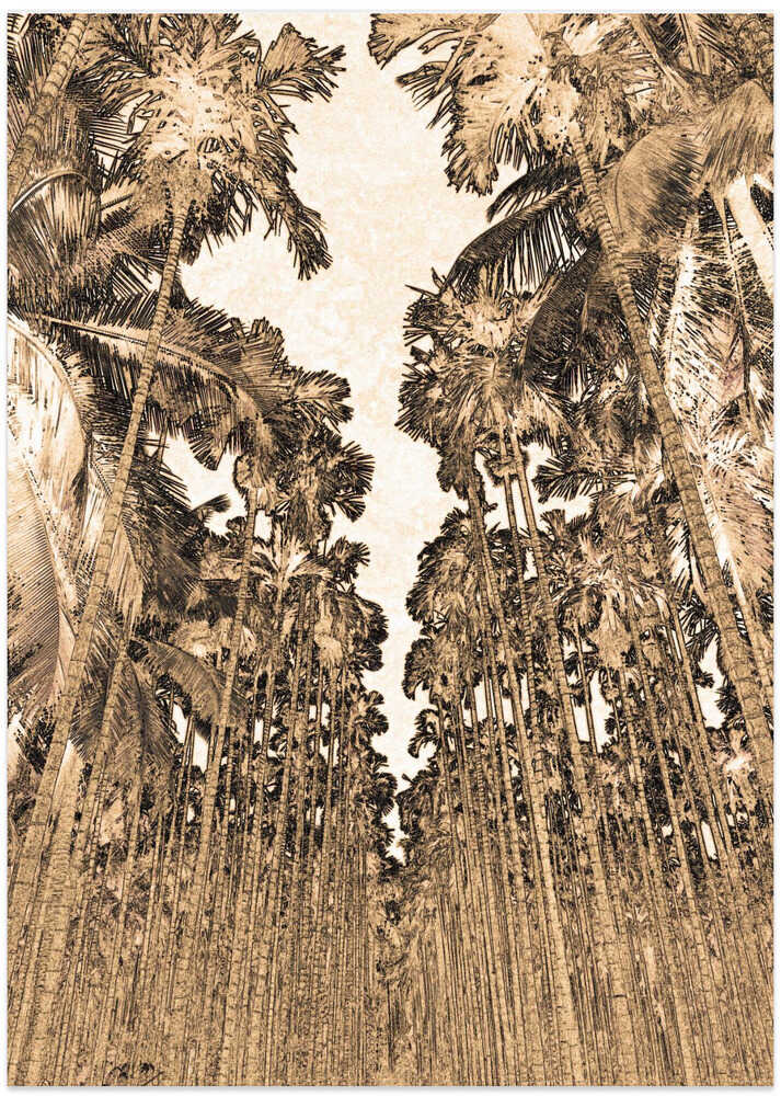 Towering Palms