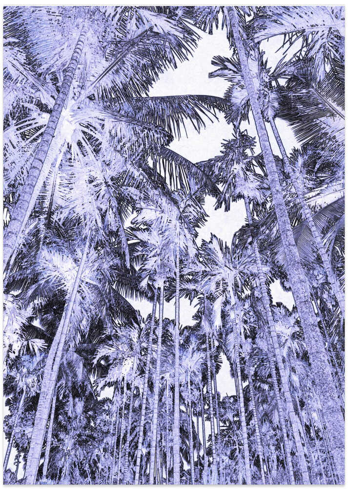 Dreamy Palm Canopy