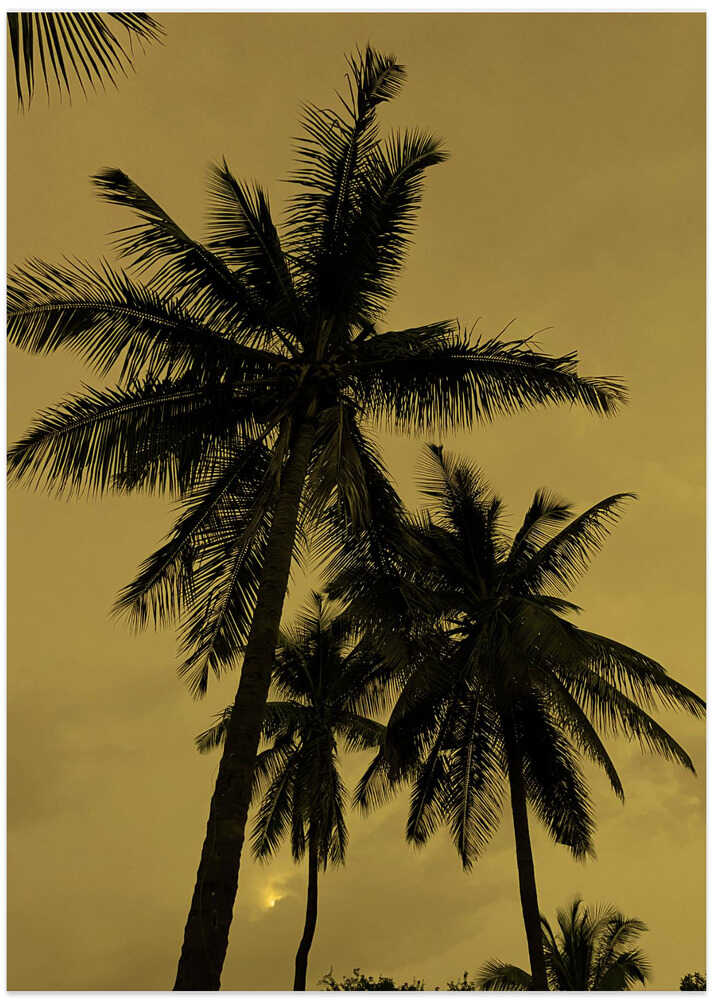 Tropical Twilight