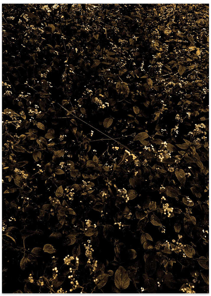 Golden Foliage Bliss