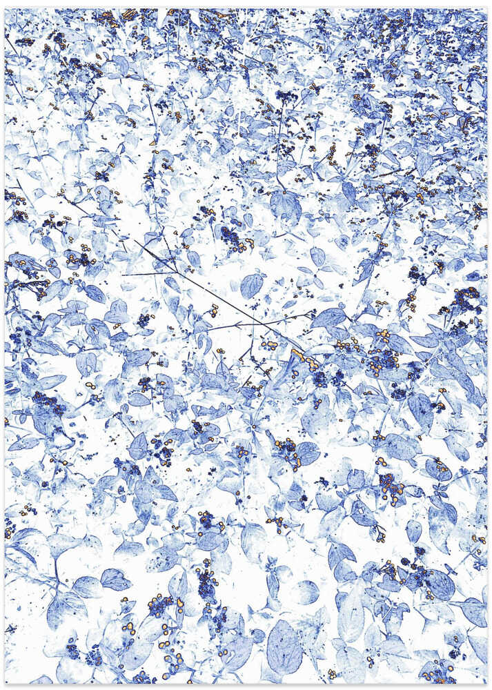 Nature's Blue Whisper