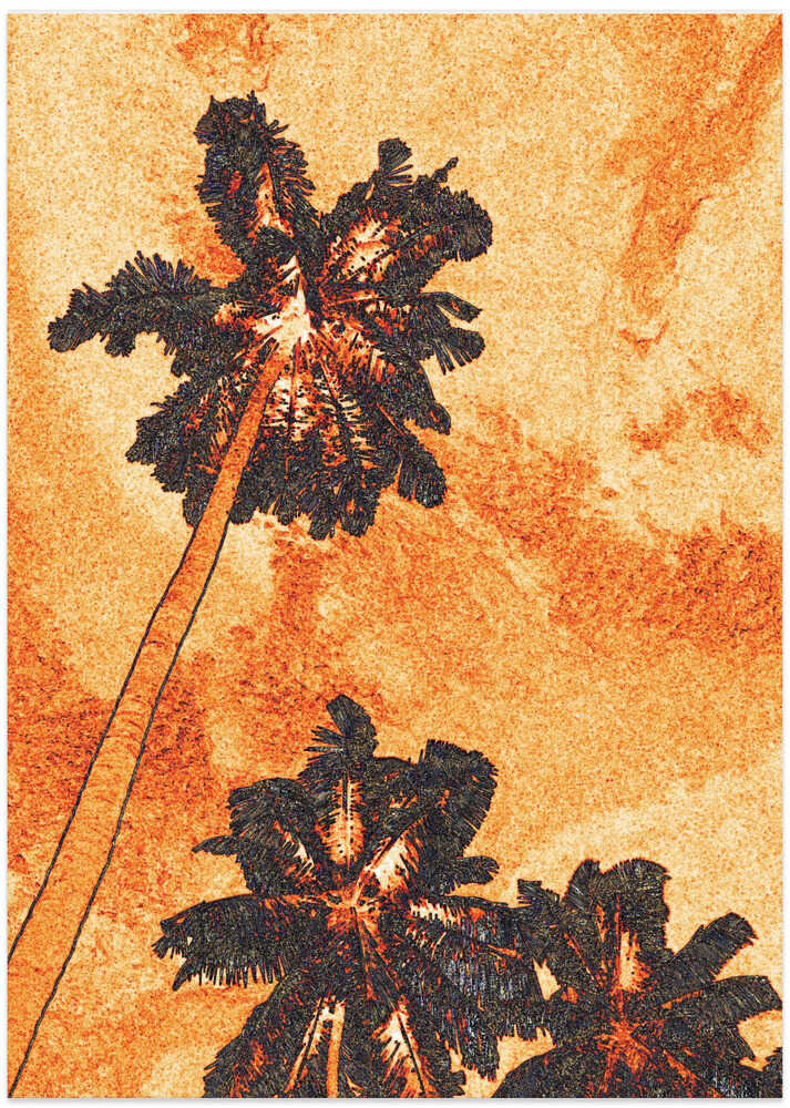 Tropical Silhouettes