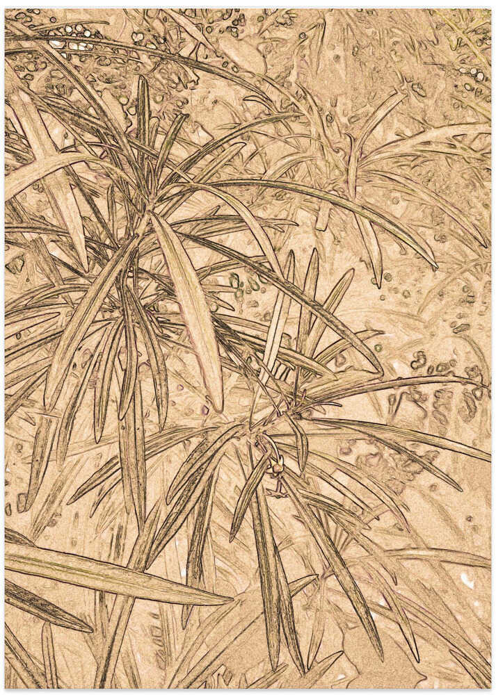 Sepia Foliage Sketch