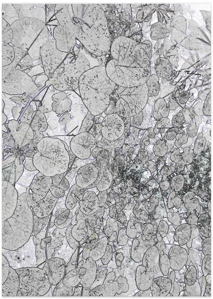 Leaves in Frosty Lace