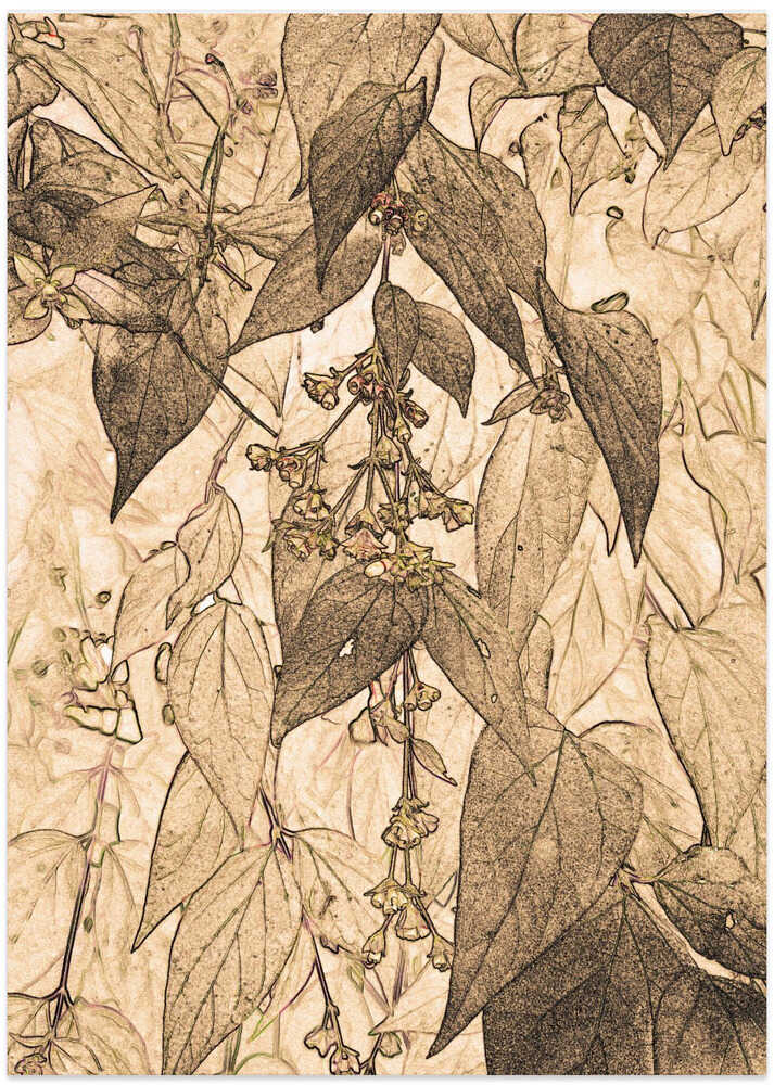 Faded Foliar Elegance