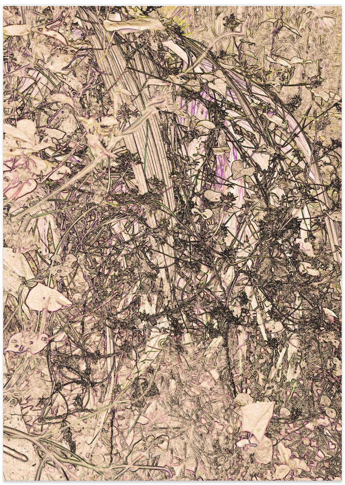 Whimsical Nature Tapestry