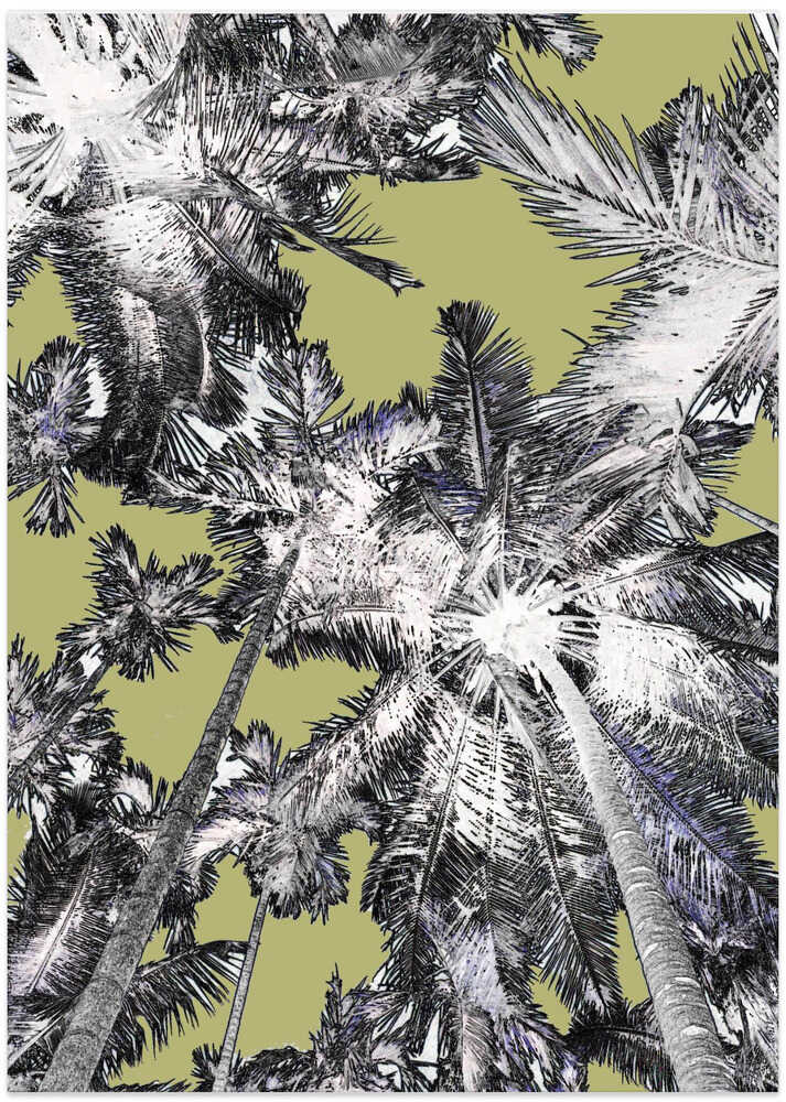 Tropical Canopy Burst