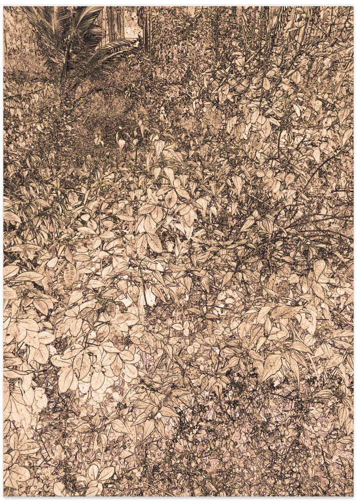 Nature’s Overgrowth