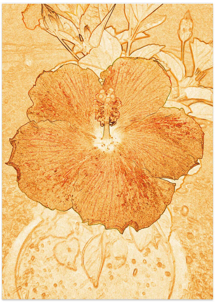 Golden Bloom Essence