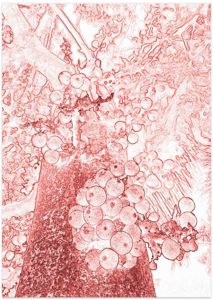 Bubbly Crimson Growth