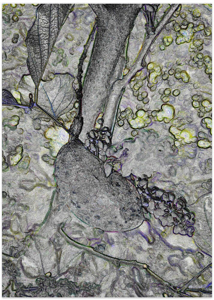 Botanical Dreamscape