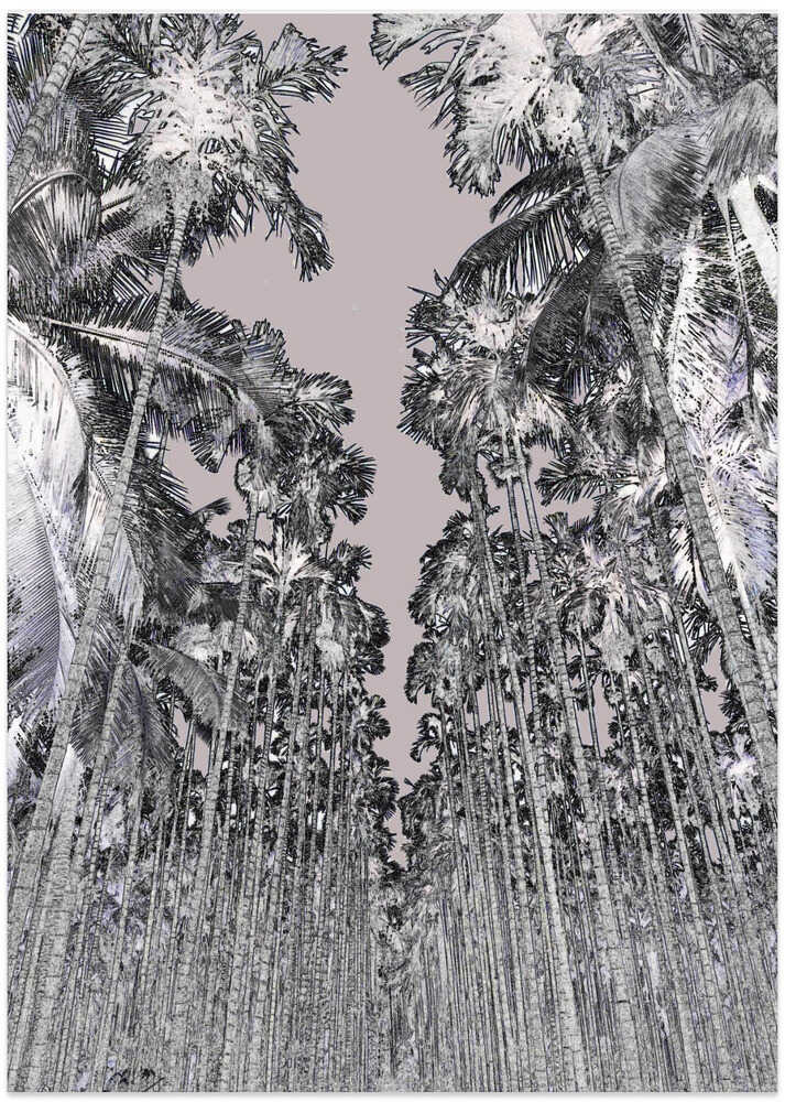 Monochrome Palmscape