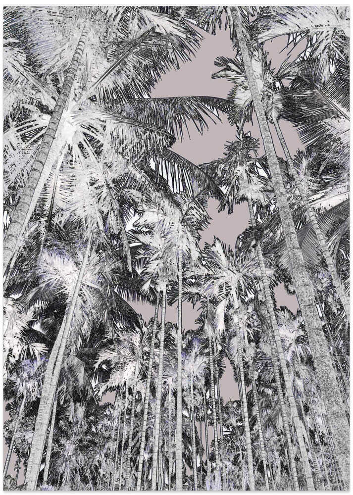 Monochrome Palms