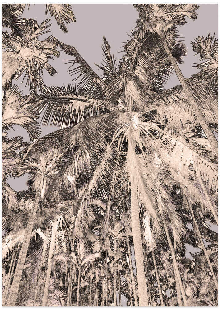 Palms in Sepia Sky