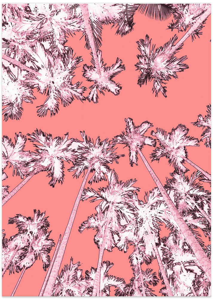 Pink Canopy Dream