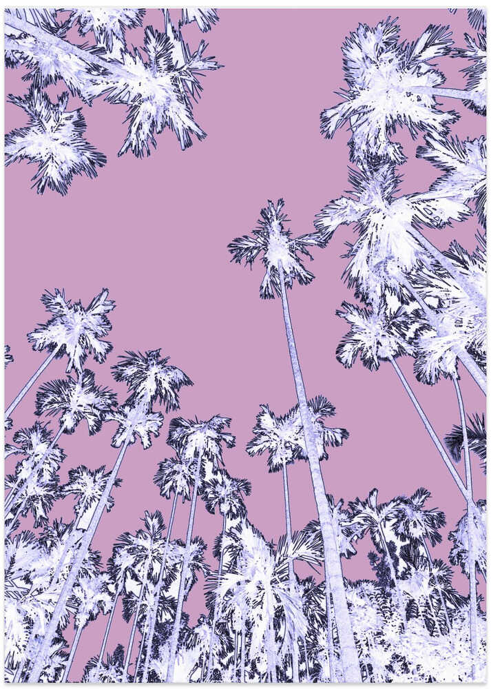 Lavender Palmscape
