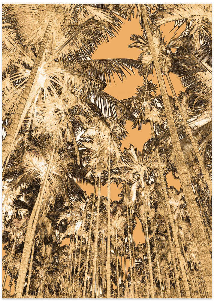 Tropical Canopy Glow