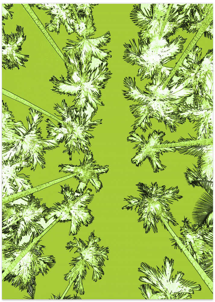 Tropical Canopy Bliss