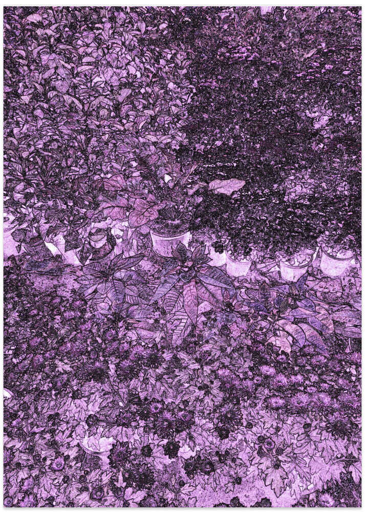 Purple Foliage Dream