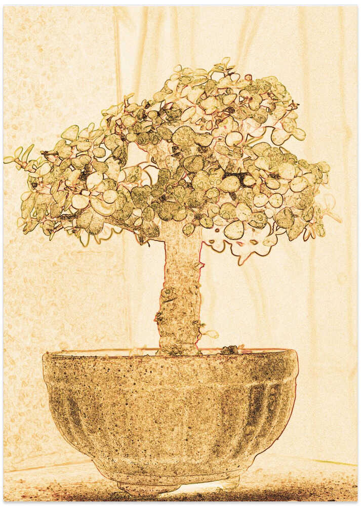 Majestic Bonsai Dream