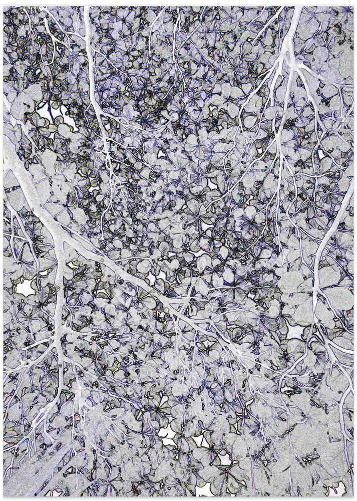 Winter Branch Mosaic