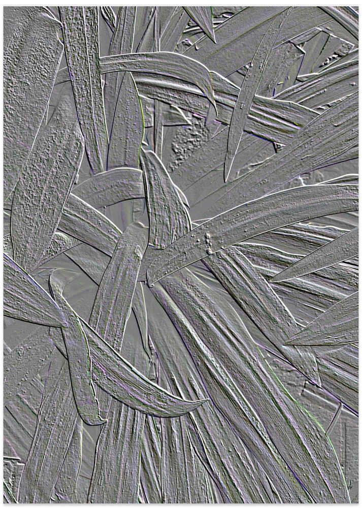 Silver Leaf Texture