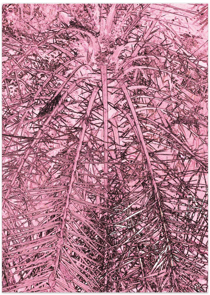 Pink Frond Sketch