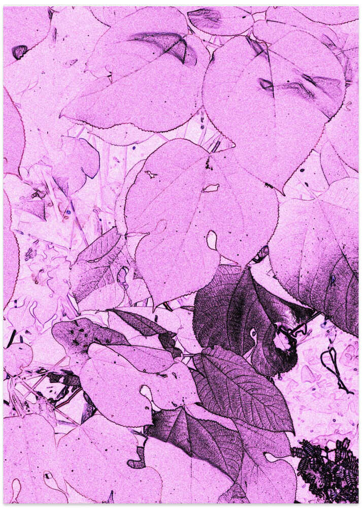 Pink Leaf Dreamscape