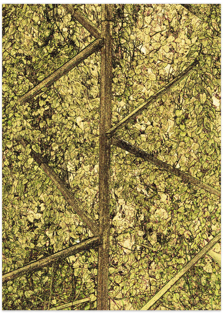 Leafy Canopy Pathway