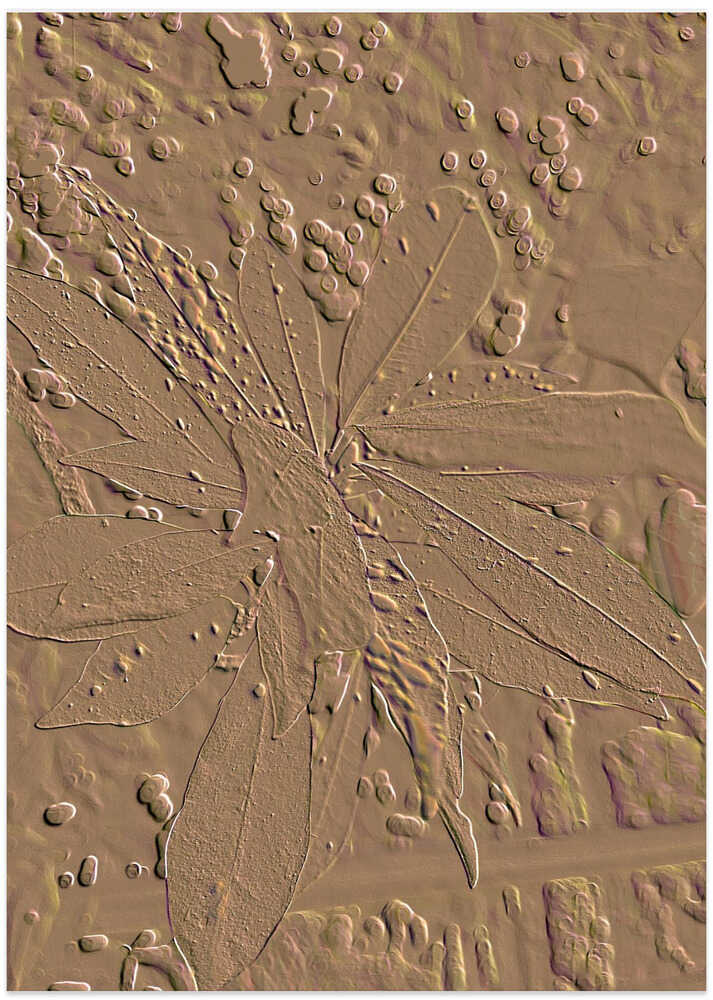 Textured Leaf Imprint