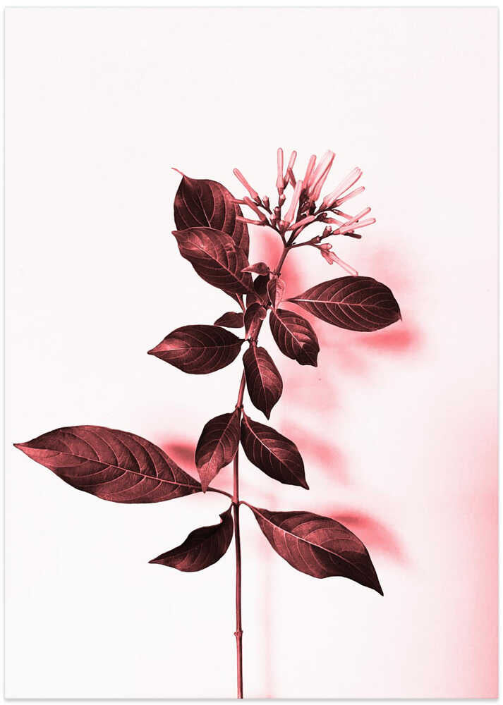 Pink Botanical Elegance