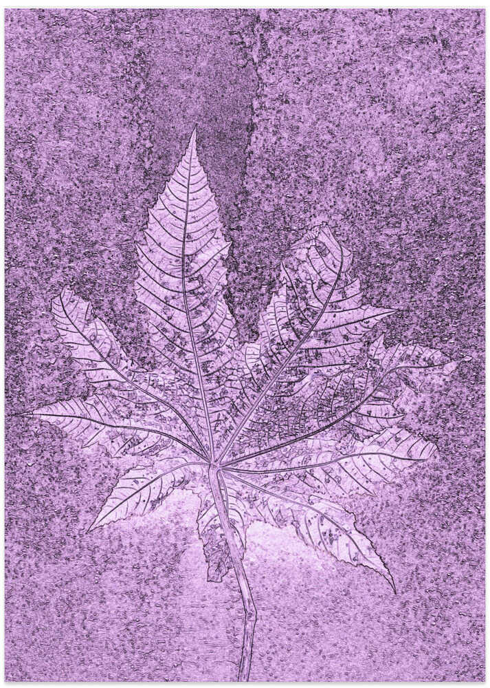 Purple Leaf Imprint