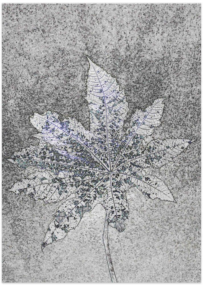 Frosted Leaf Imprint