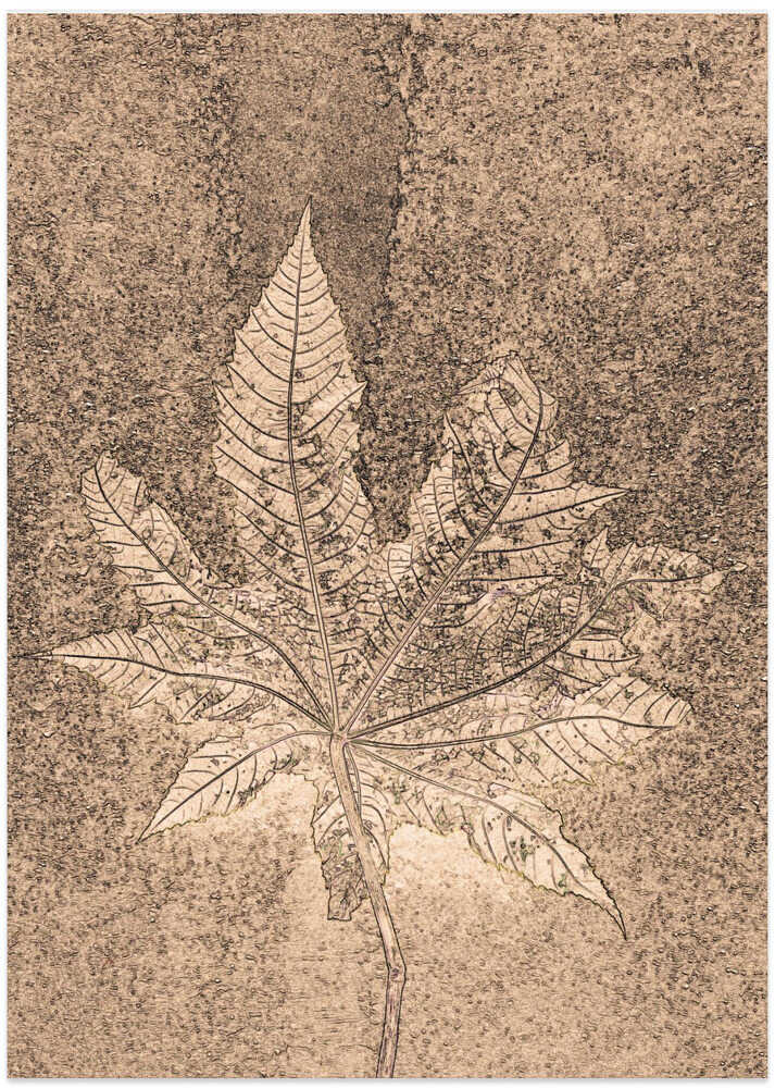 Sepia Leaf Symphony