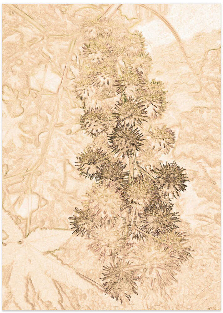 Spiky Nature's Embrace