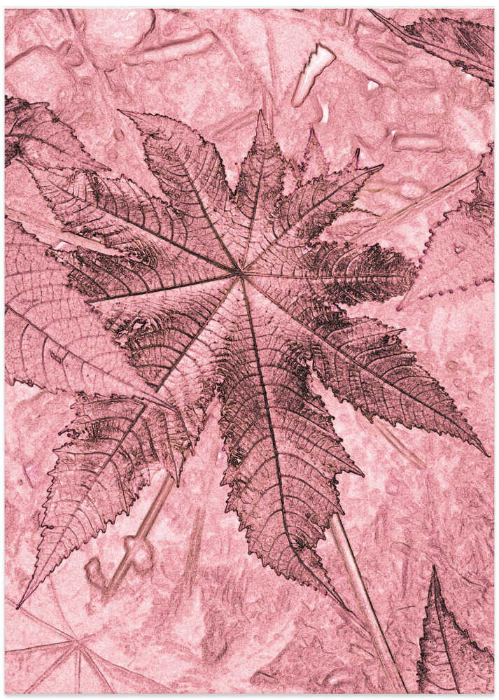 Pink Leaf Impressions