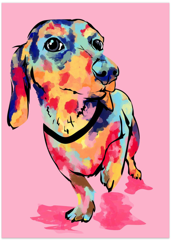Rainbow Pup, Cute and Colorful Dog