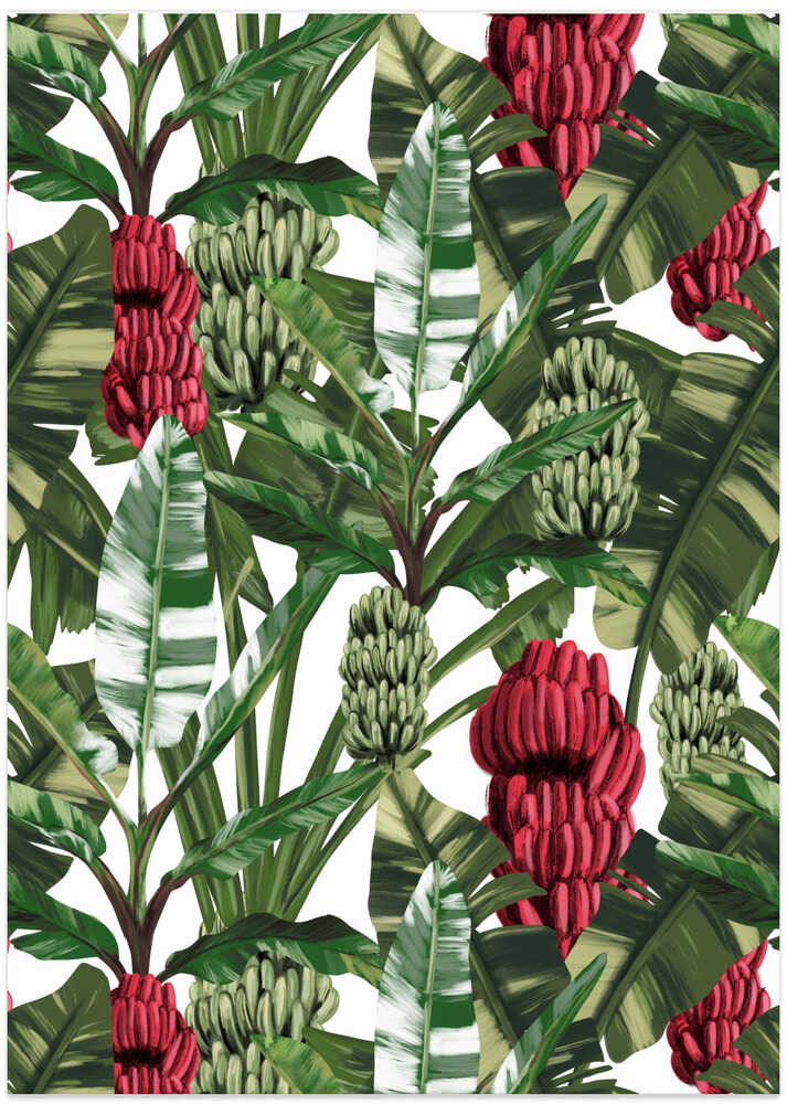 Big Banano Leaves Pattern White