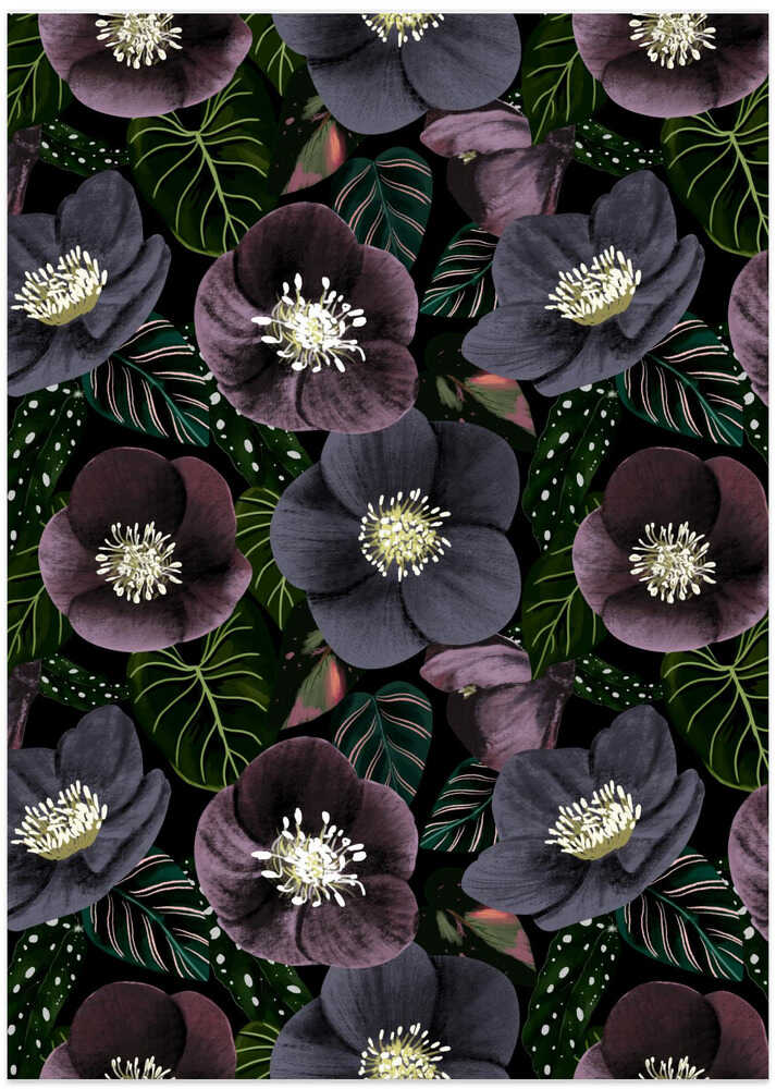 Dark Purple Flowers