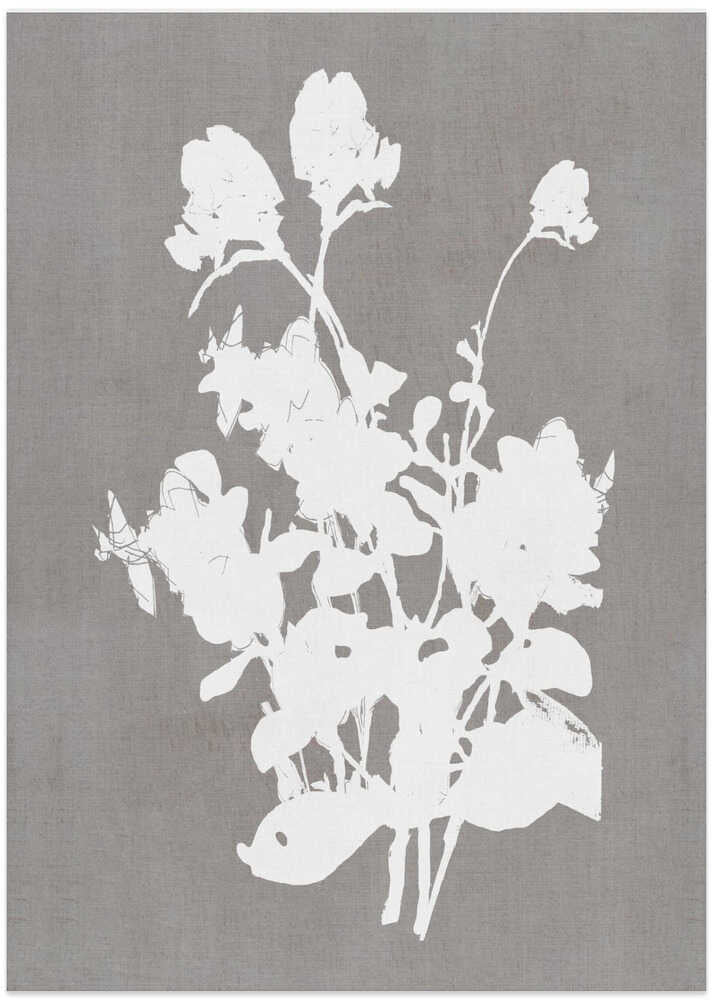 Botanical Illustration 3