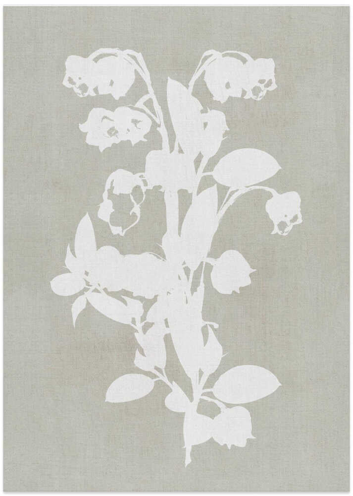 Botanical Illustration 4